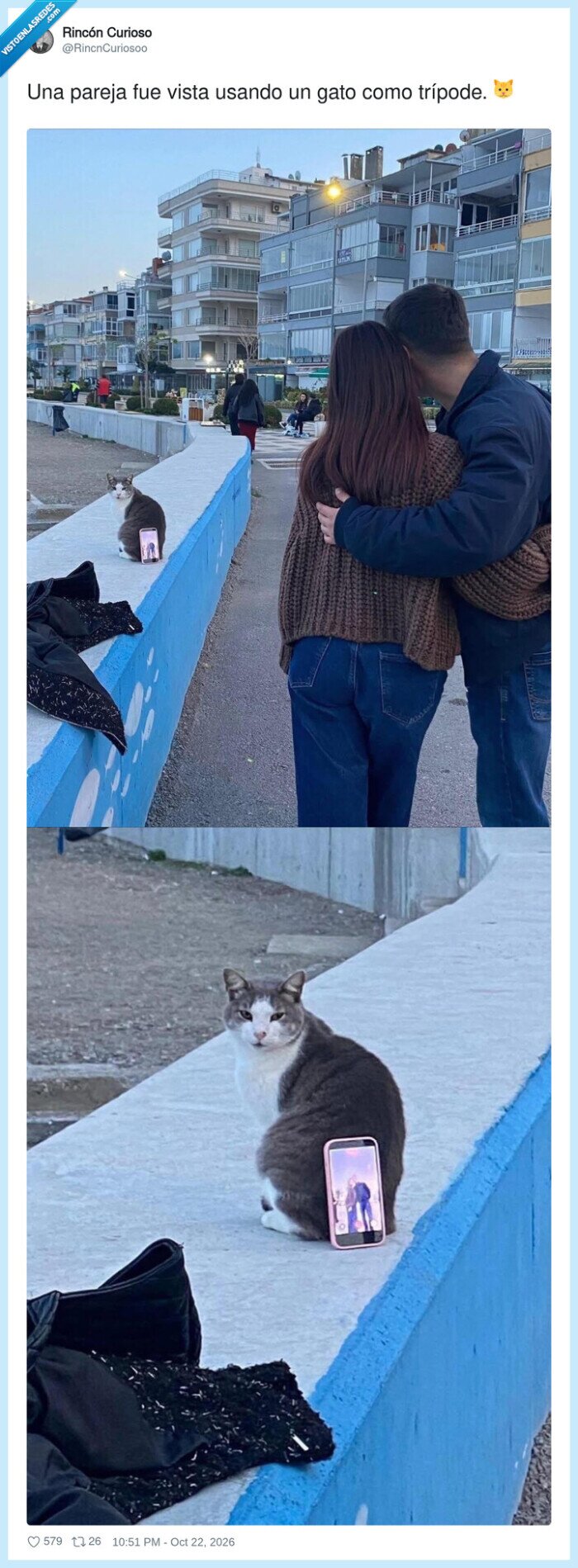 1764572 - El gato que se ganó la vida como trípode profesional, por @RincnCuriosoo