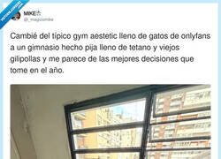 Enlace a Pasar del gym aesthetic de influencers de OnlyFans a un gimnasio de barrio con banco de press, toalla azul y cero postureo: la mejor decisión del año, sin discusión, por @_magicomike