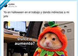Enlace a Dulce o aumento, que el disfraz ya lo he pagado yo, por @Lunita_Os