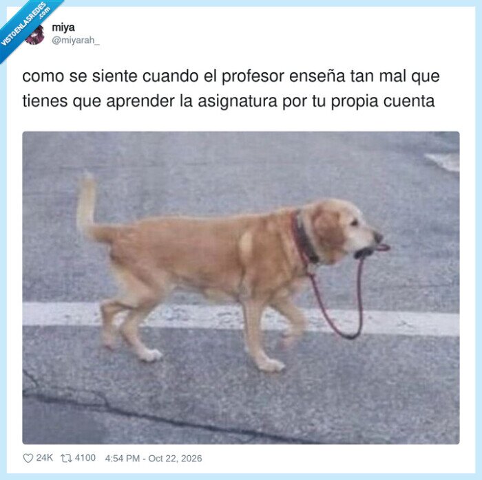 1764781 - El perro que se saca a pasear solo, como yo con el temario, por @miyarah_
