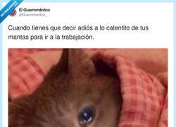 Enlace a Despedirse de la manta cada mañana es el verdadero drama del día, por @Guarromantico_