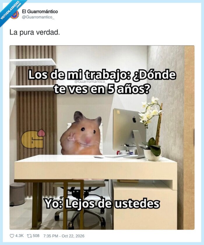 1764838 - Plan de carrera a cinco años: desaparecer, por @Guarromantico_