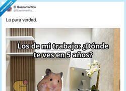 Enlace a Plan de carrera a cinco años: desaparecer, por @Guarromantico_