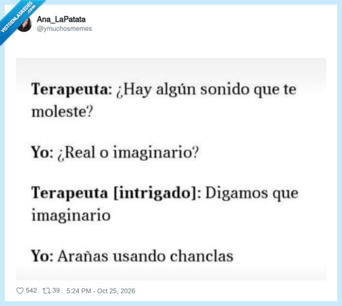 terapeuta,ara&ntilde;as,chanclas,miedos