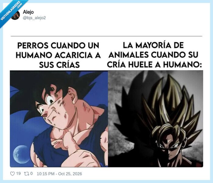 perros,animales,cr&iacute;as,goku,meme