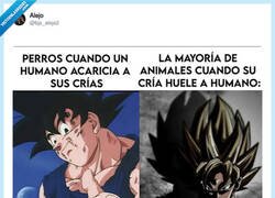 Enlace a El olfato de las madres animales no perdona, por @bjs_alejo2