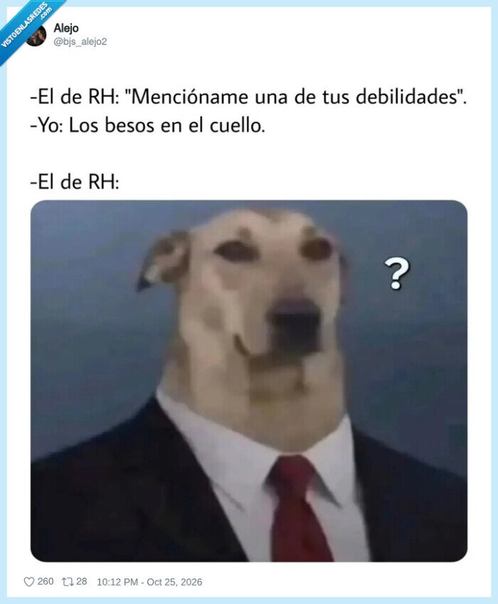 entrevista,recursos humanos,debilidades,perro