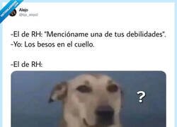 Enlace a La debilidad más sincera en una entrevista de trabajo, por @bjs_alejo2