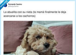 Enlace a Las abuelas cuidan a los nietos como nadie, por @RanguGamer