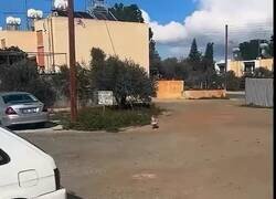 Enlace a La felicidad pura existe y dura lo que tarda en abrirse la puerta del curro, por @Javisness