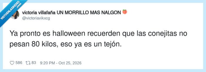 halloween,disfraces,conejita,chistes