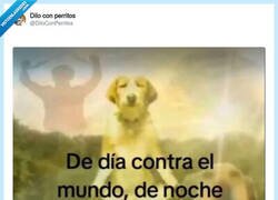 Enlace a La mente de noche es un ring de boxeo, por @DiloConPerritos