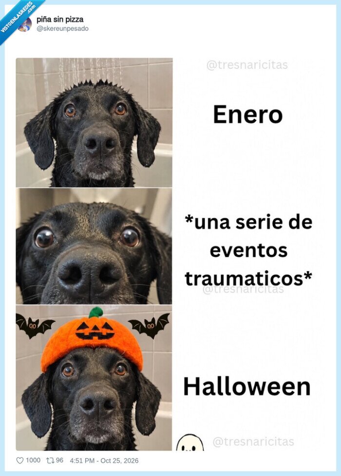 perro,a&ntilde;o,halloween,meme