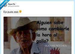 Enlace a El gallo no ha recibido el aviso del cambio de hora, por @PacorPo89343