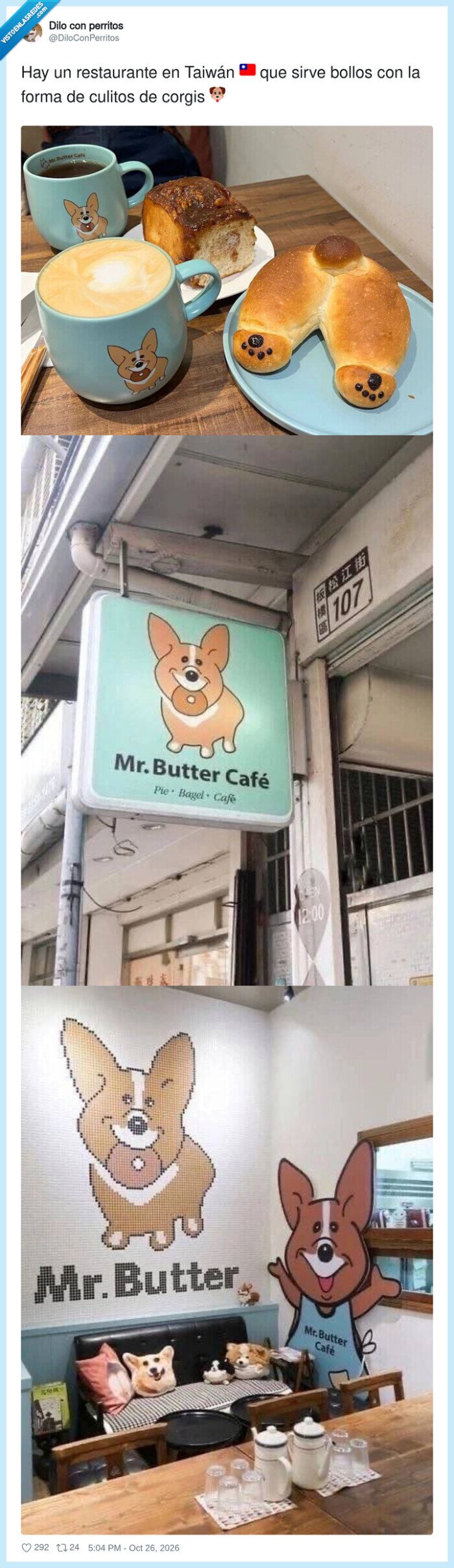 corgi,perros,restaurante,taiw&aacute;n