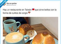 Enlace a El restaurante de Taiwán que todo amante de los corgis necesita conocer, por @DiloConPerritos