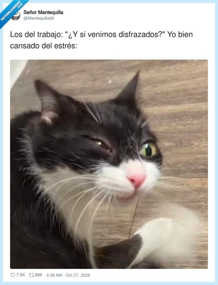 disfrazados,trabajo,venimos,estr&eacute;s,chuec@,bien