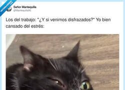 Enlace a Los del trabajo: 