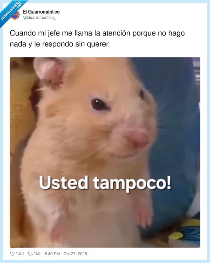 jefe,trabajo,oficina,h&aacute;mster,pereza