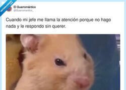 Enlace a Y usted tampoco trabaja mucho, ¿no? ¡Pues eso!, por @Guarromantico_