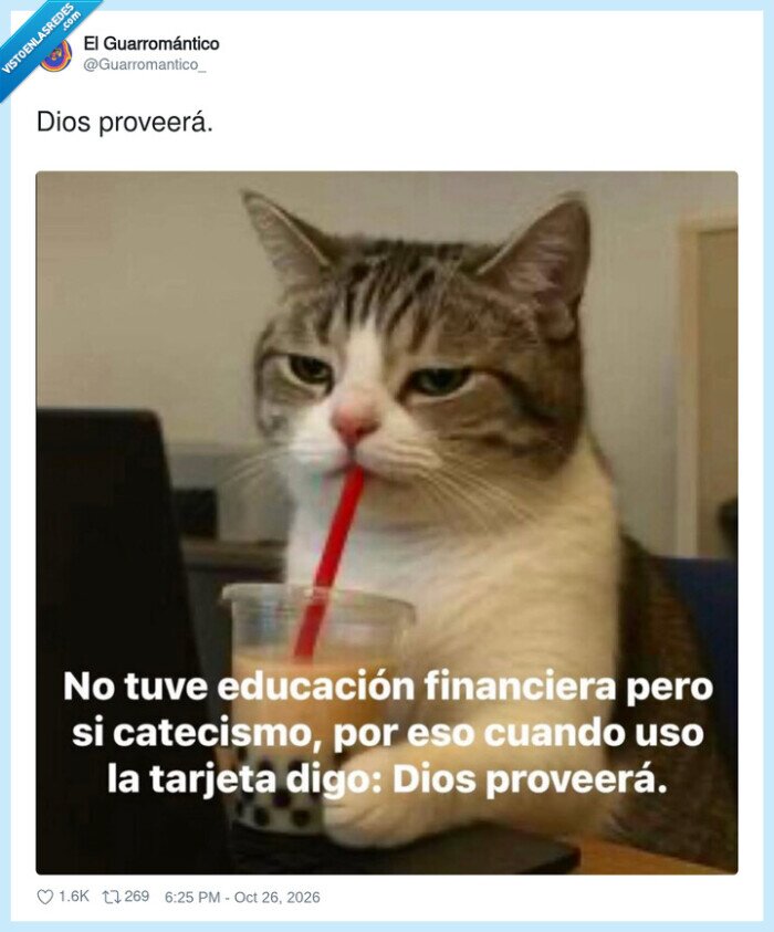 finanzas,catecismo,tarjeta,gato,fe