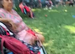 Enlace a Okupa felino con ficha limpia en el parque canino, por @chaoticprank