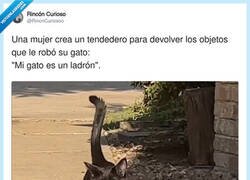 Enlace a Mi gato no es un ladrón, es un cleptómano con buen gusto para la ropa interior, por @RincnCuriosoo