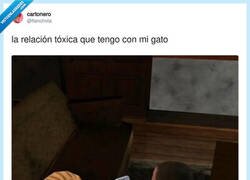 Enlace a Le hago una foto preciosa y me devuelve el favor a arañazos, por @flanchota