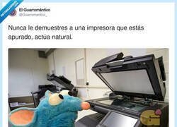 Enlace a Las impresoras huelen el miedo y la prisa, por @Guarromantico_