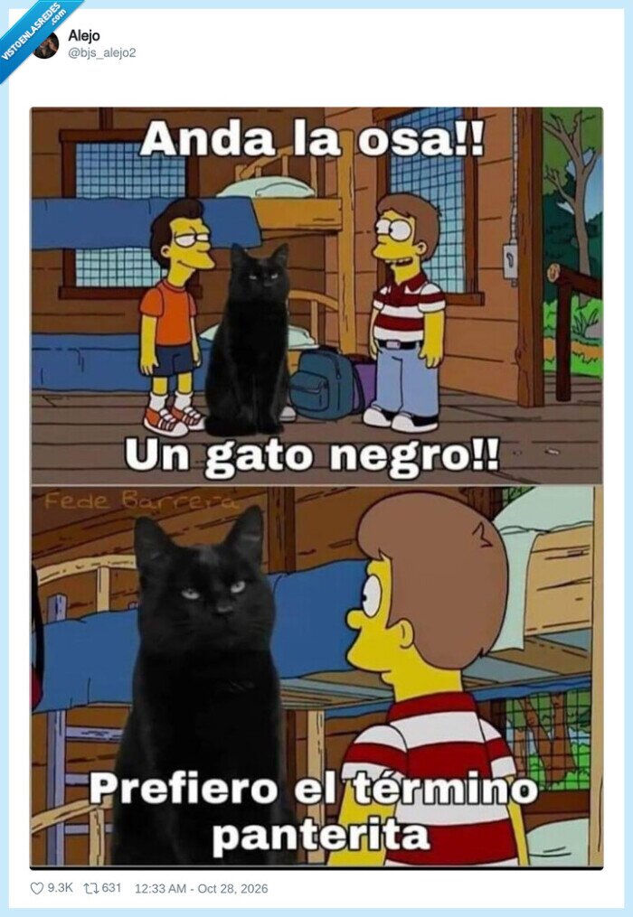 simpson,gato negro,pantera,correcci&oacute;n pol&iacute;tica,meme