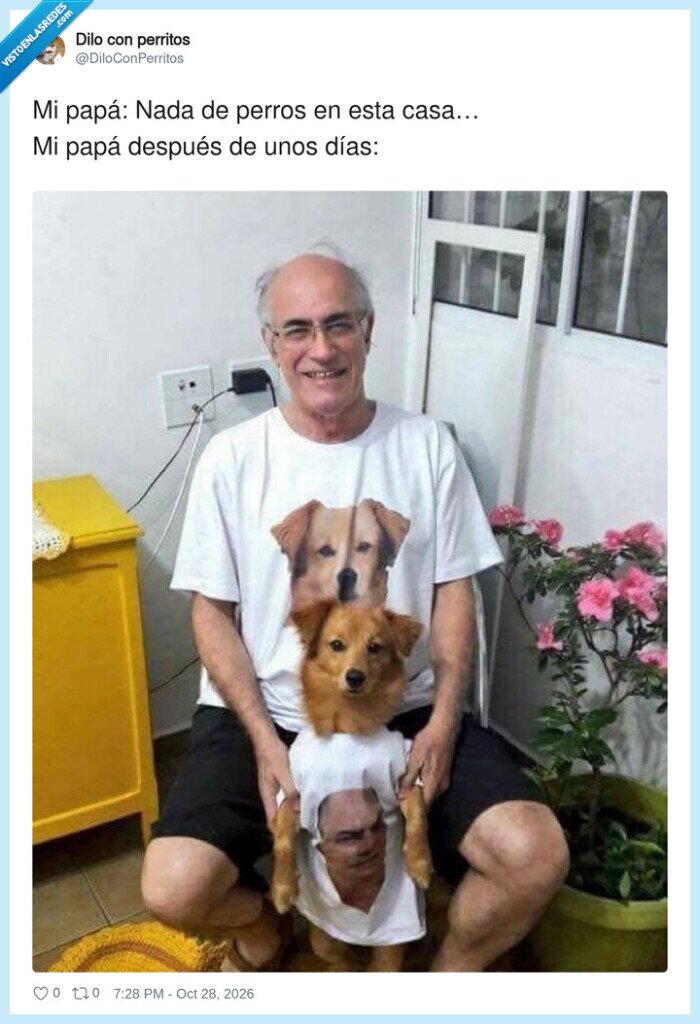 1766241 - La firmeza paterna tiene fecha de caducidad y cuatro patas, por @DiloConPerritos