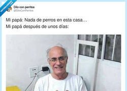 Enlace a La firmeza paterna tiene fecha de caducidad y cuatro patas, por @DiloConPerritos