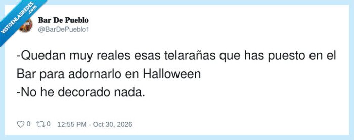 halloween,telara&ntilde;as,bar,limpieza,decoraci&oacute;n