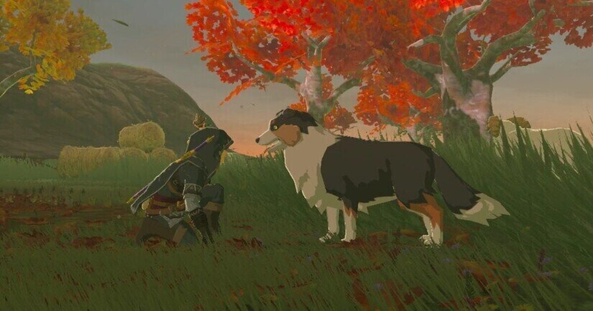 Un grupo de speedrunners se ha propuesto alimentar a todos los perros de Hyrule 