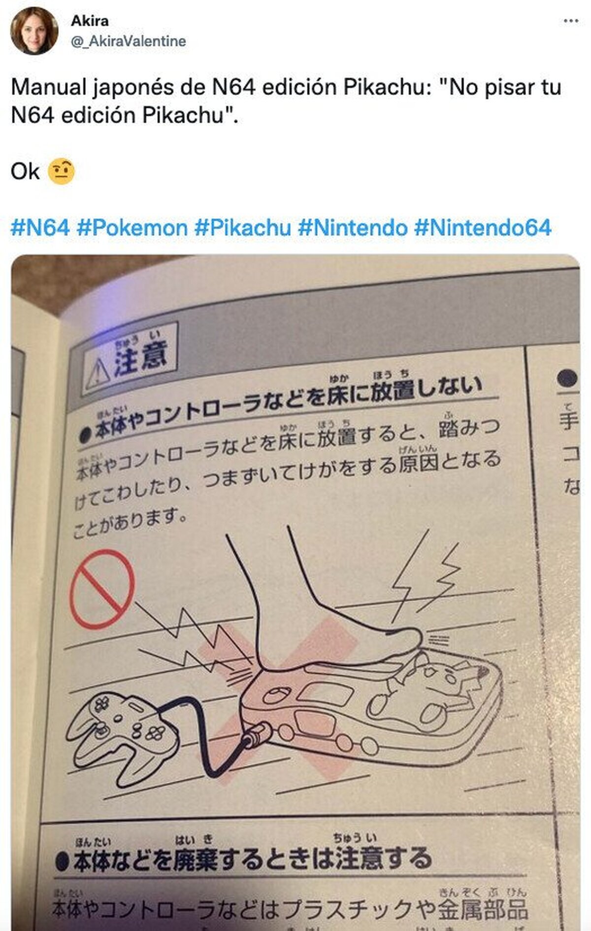 Siempre me parto con los manuales japoneses