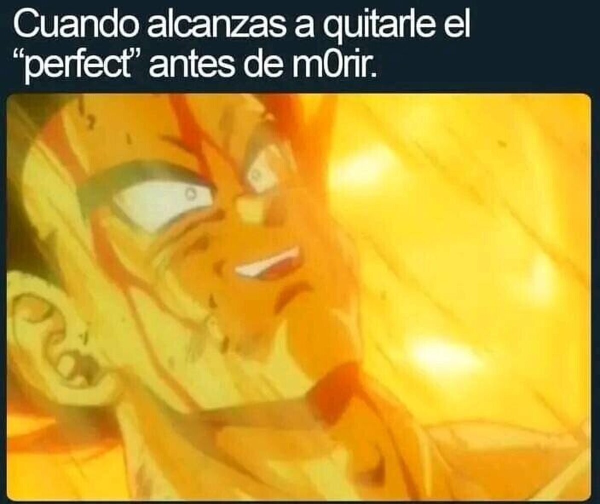 Mereció la pena
