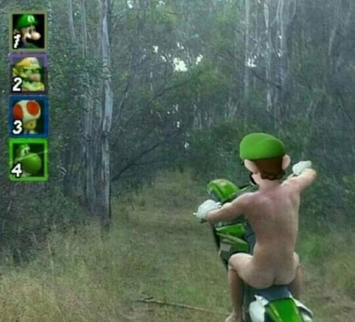 Nunca entenderé a Luigi y sus métodos 