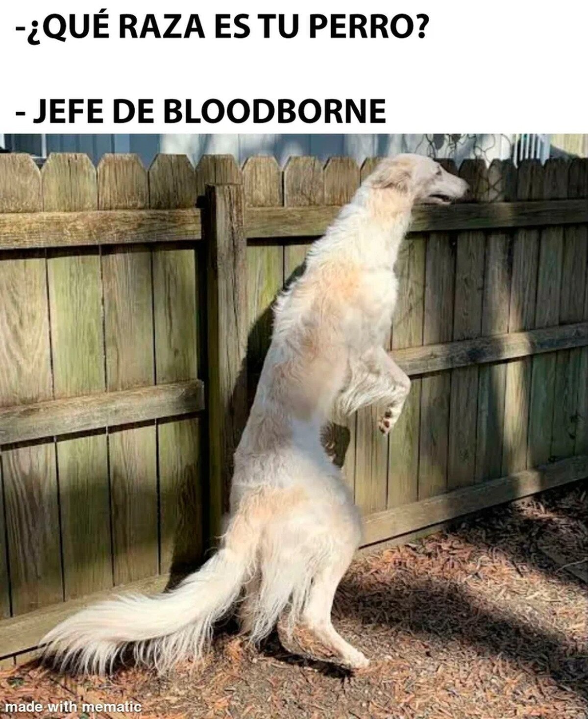 Vicar Amelia ¿eres tú?