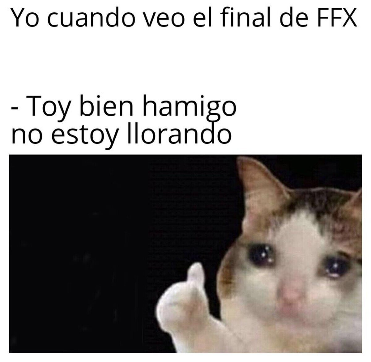 El final de FFX