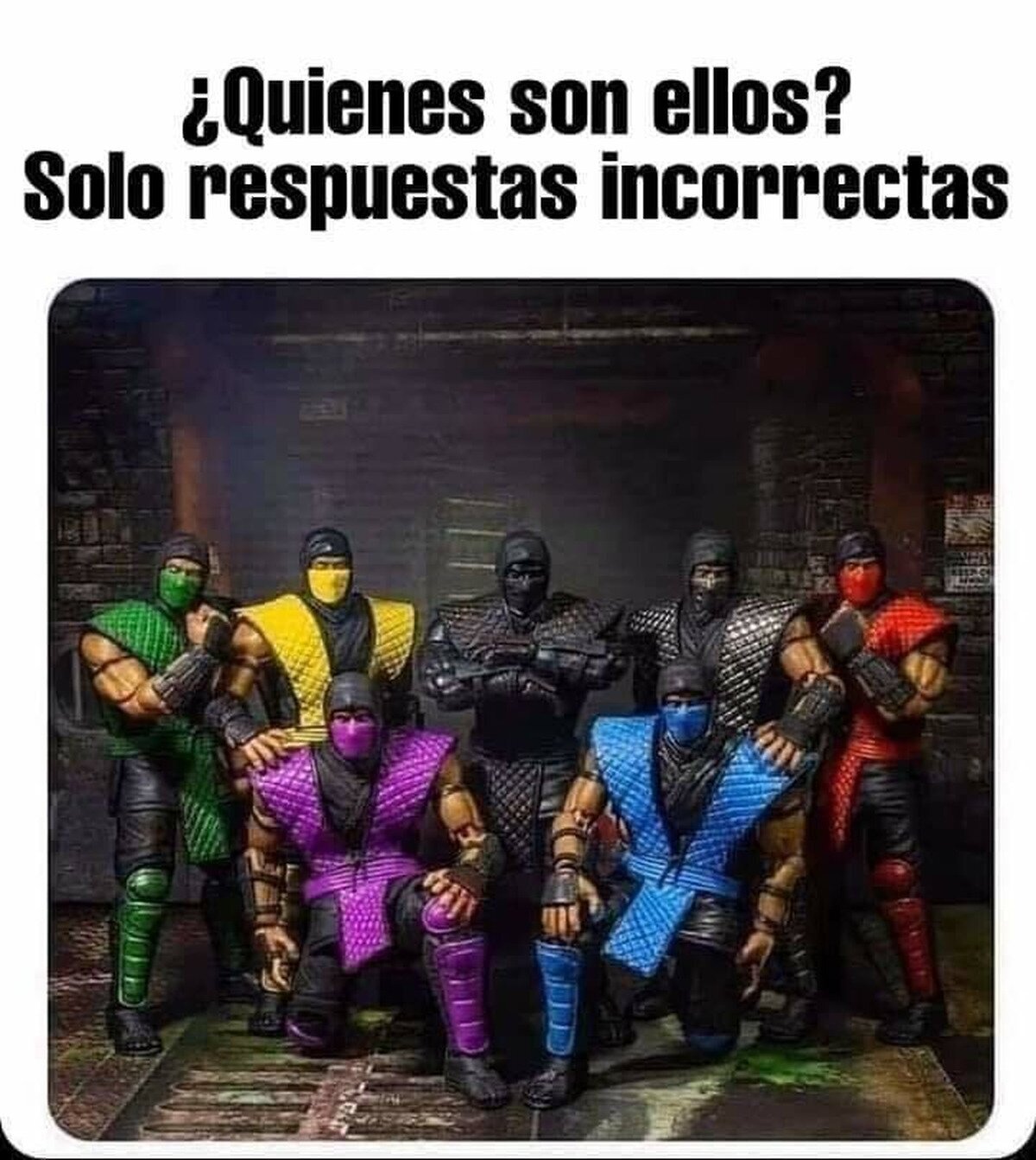 Los ninjas con hombreras de señora