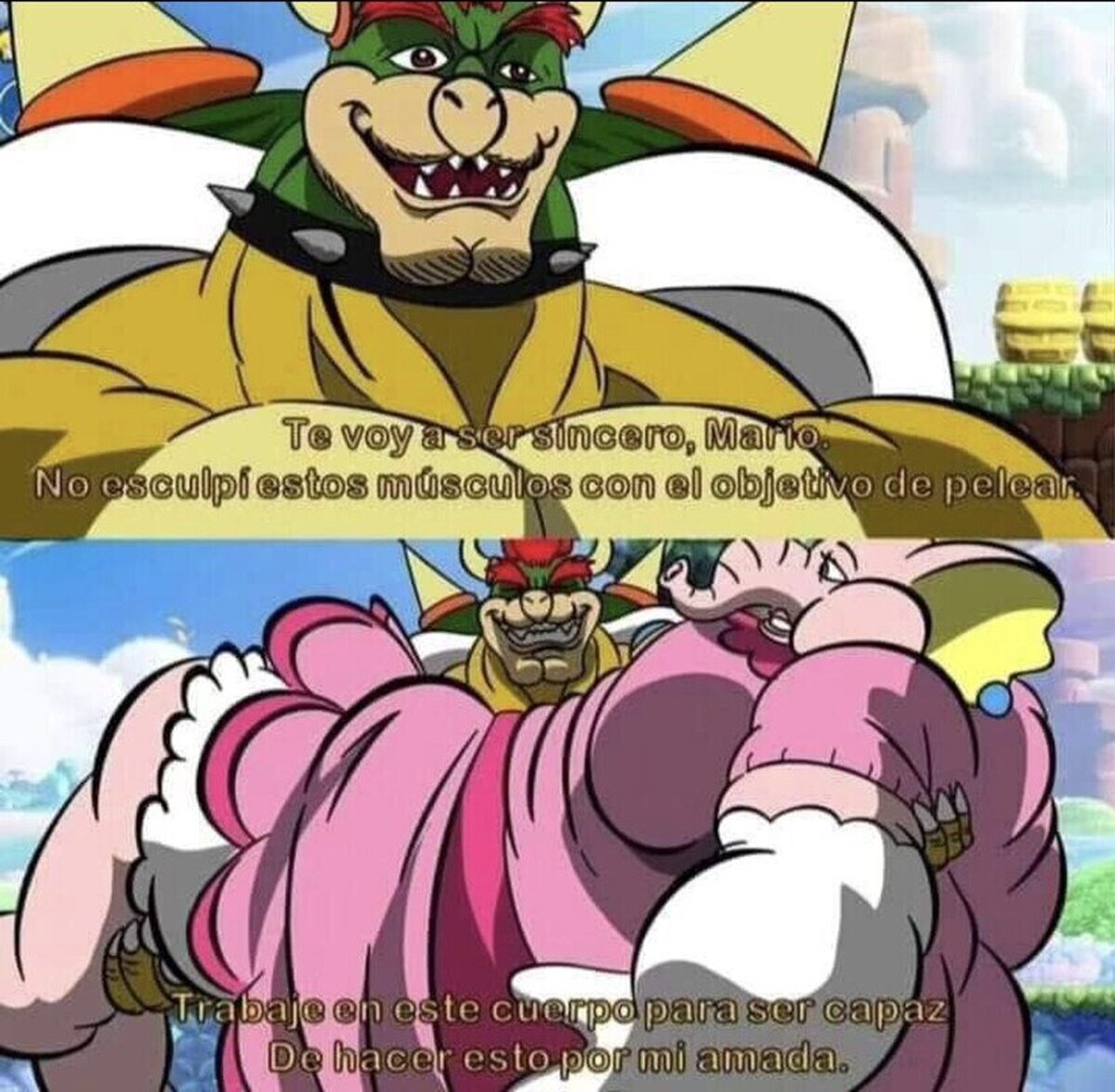 Bowser sabe lo que quiere