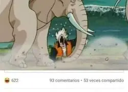 Ese elefante es el ser m&aacute;s fuerte del multiverso @CondorPana