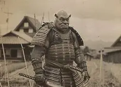 Cuando pusieron a Shrek no hubo tanta queja