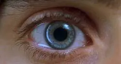 &iquest;De qui&eacute;n es este ojo?