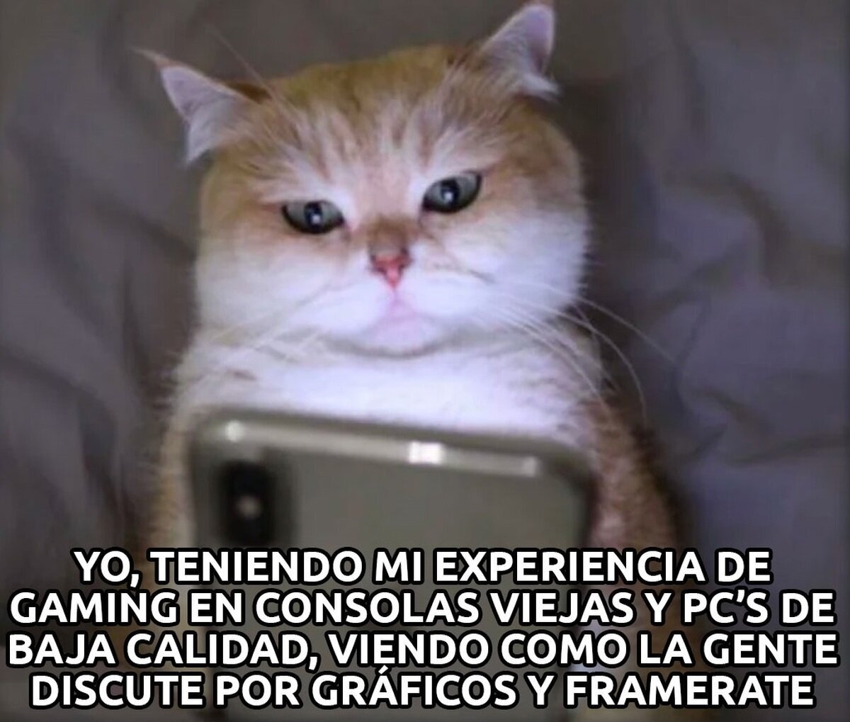 Me representa. Siempre os leo sin decir nada
