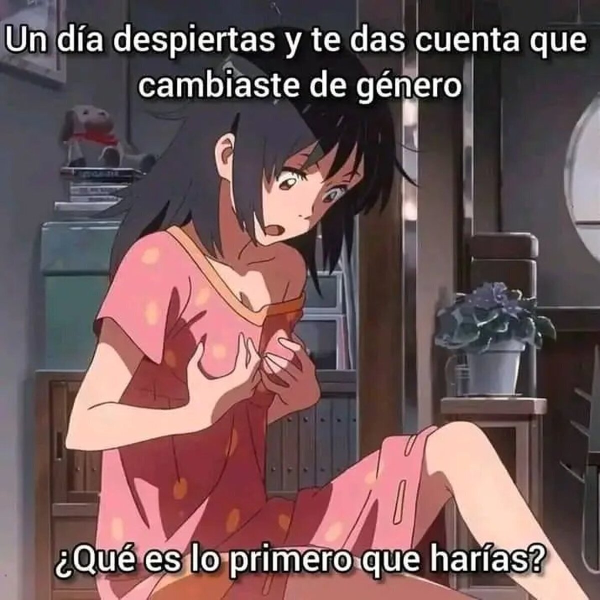 Sin mentir ¿qué es lo que harías ?