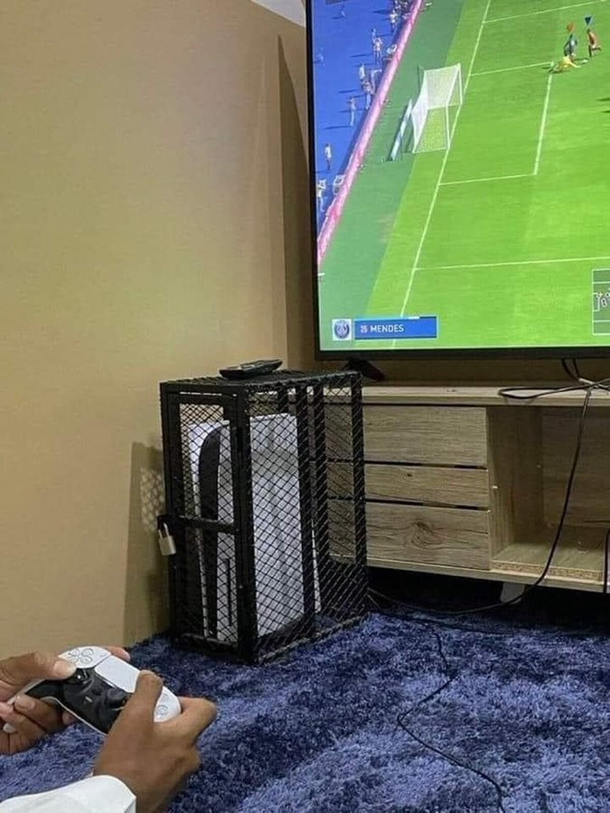 ¿Qué esta sucediendo en esta casa?