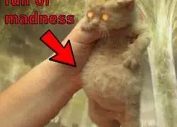 El final de la llama fren&eacute;tica es el canon. No abro debates.