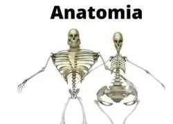 Pap&aacute; y mam&aacute; Pixar