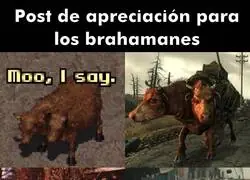 Gracias por la carnita